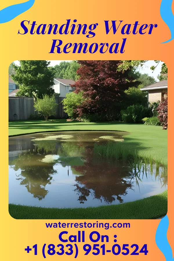 Standing Water Removal in San Fernando, CA